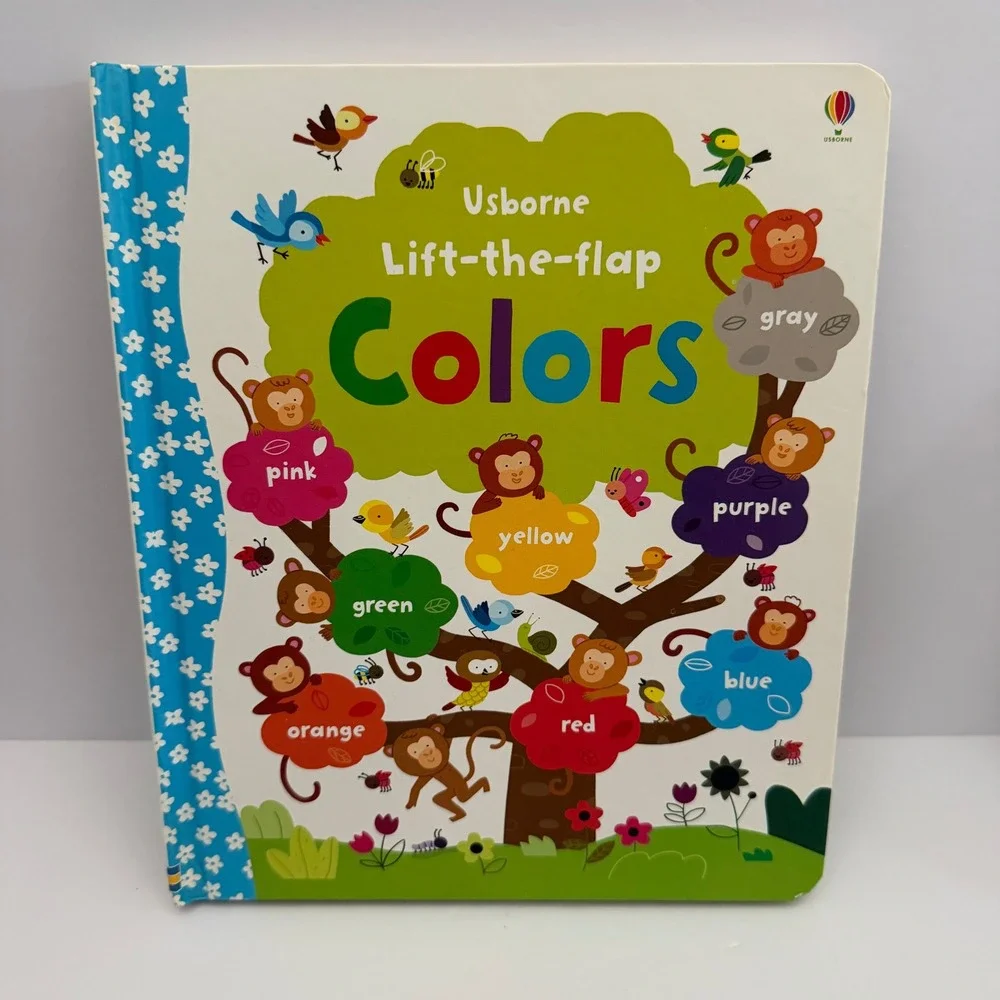 Usborne Lift-the-flap Book Set First Math Colors Numbers